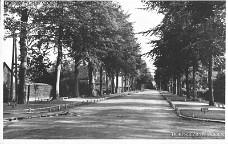 gezichtslaan 1947-2