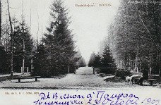 gezichtslaan man met hond 1900 wm