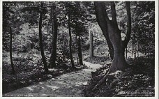Kaapse Bos 1941