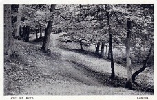 Kombos 1950wm