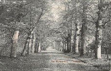molenweg 1915