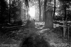 oude begraafplaats tegenlicht aanpassing BW