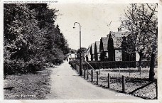 palmweg 1955
