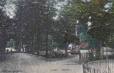 Boschlaan 1920