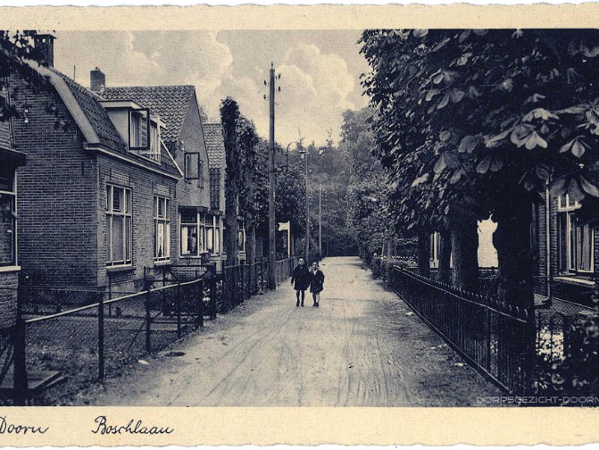 Boslaan en Kortenburglaan De Boschlaan (Boslaan) is in 1902 aangelegd als doorsteek naar de Dorpstraat. In die tijd waren de Kortenburglaan en de...